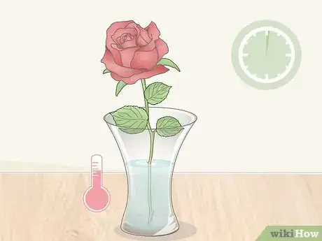 Image titled Force Bloom Flowers Step 2