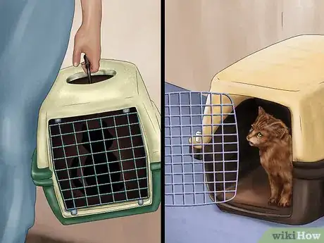 Image titled Foster Kittens Step 10