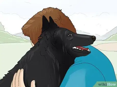 Image titled Identify a Belgian Sheepdog Step 15