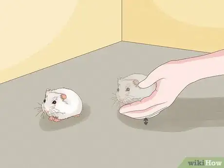 Image titled Carry a Hamster Step 9