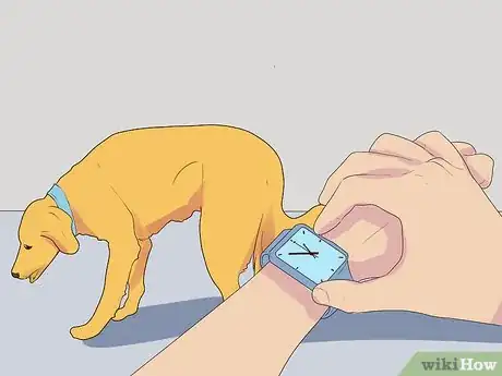 Image titled Diagnose Coughing in Dogs Step 1