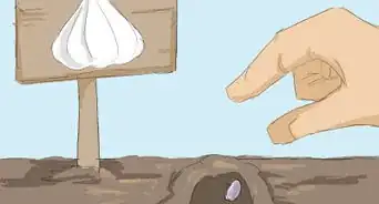 Handle and Apply Pesticides Safely