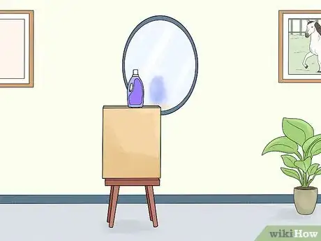 Image titled Take Mirror Pictures with Random Objects Step 1