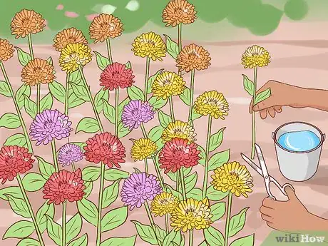 Image titled Grow Your Own Bouquet Step 12