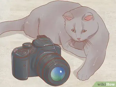 Image titled Photograph Cats Step 1