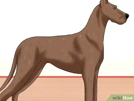 Image titled Treat Ascarids in Dogs Step 2