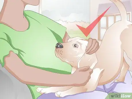 Image titled Care For a Dog with Bad Joints Step 12