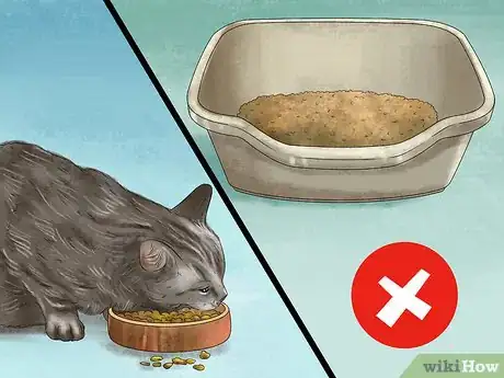 Image titled Feed a Fussy Cat Step 9