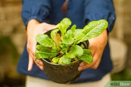 Image titled Make Your Home Elegant Step 3