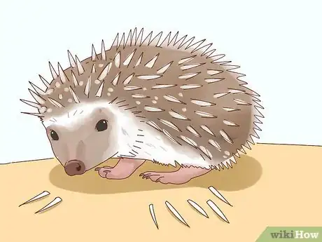 Image titled Take Care of a Hedgehog Step 26