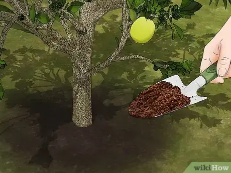 Image titled Use Coffee Grounds in Your Garden Step 2