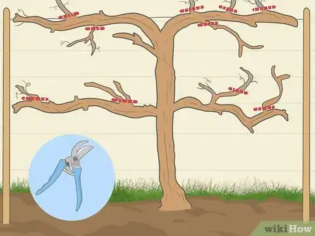 Image titled Prune Grape Vines for Winter Step 5