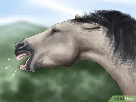 Image titled Spot Early Signs of Lameness in Horses Step 6