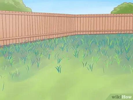 Image titled Plant a Climbing Rose Step 2