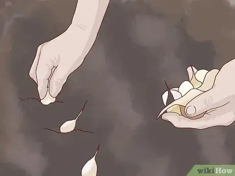 Image titled Prepare Your Garden for Winter Step 8