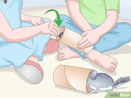 Image titled Keep Chinchillas Safe Around Children Step 11
