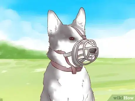 Image titled Train a Puppy Not to Bite Step 9