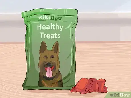 Image titled Have a Fun Day with Your Dog Step 14