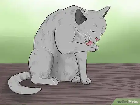 Image titled Stop a Fearful Cat from Biting Step 10