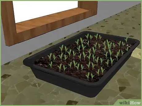 Image titled Plant a Seed Step 7