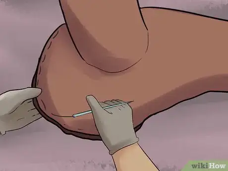 Image titled Rawhide a Saddle Tree Step 18