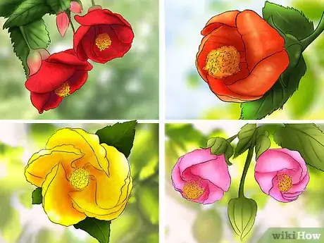 Image titled Select Blooming Houseplants Step 8