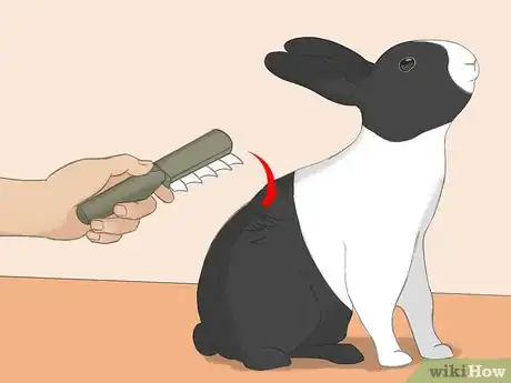 Image titled Bathe Your Pet Rabbit Step 3