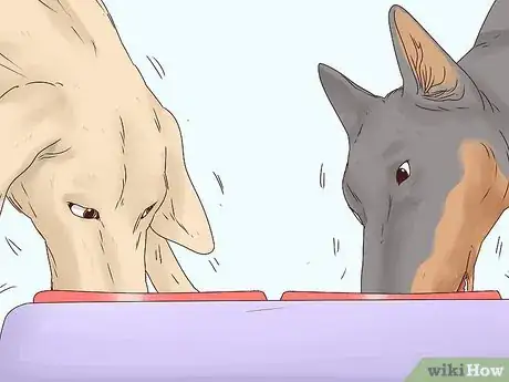 Image titled Stop a Dog from Eating Too Fast Step 6