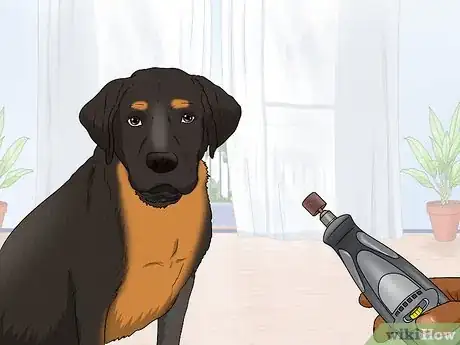 Image titled Use a Rotary Tool to Trim Your Pet's Nails Step 5
