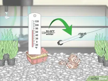 Image titled Care for Fancy Goldfish Step 8