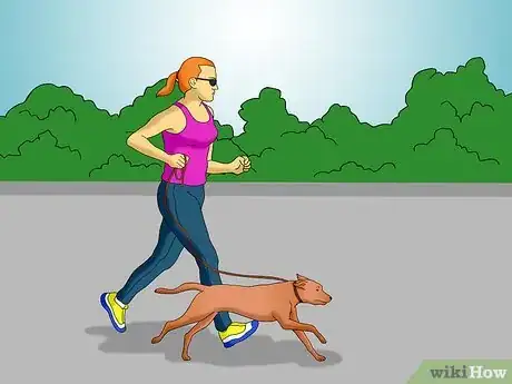 Image titled Keep Your Dog in Shape Step 5