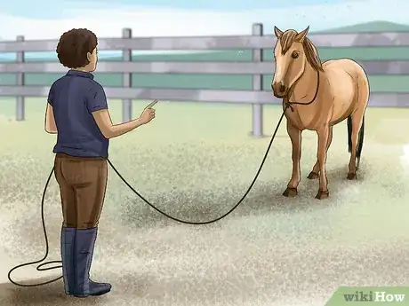 Image titled Round Pen a Horse Step 13
