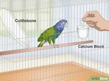 Image titled Set Up a Pionus Parrot Habitat Step 14