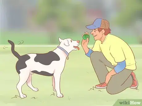 Image titled Keep Your Dog Entertained Step 18
