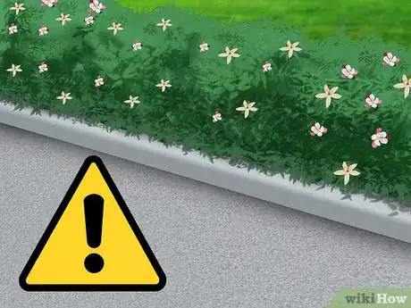 Image titled Choose Edible Flowers Step 10