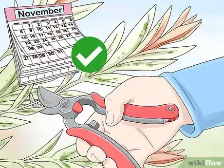 Image titled Prune a Dappled Willow Step 1