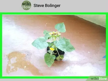 Image titled Change a Google Photos Album Cover on Android Step 4