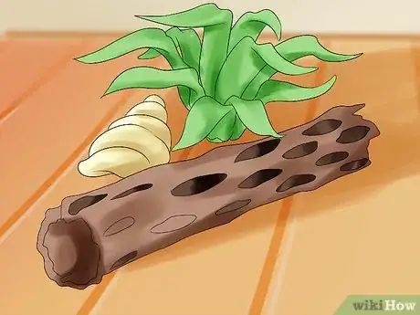 Image titled Care for Hermit Crabs Step 6