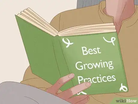 Image titled Prevent over Watering in House Plants Step 6