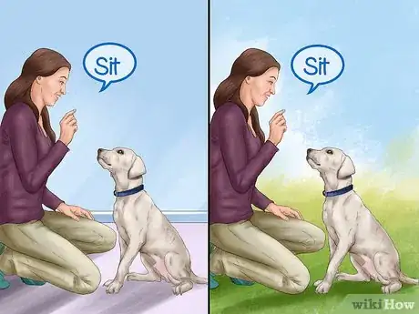 Image titled Build a Relationship With a Dog Step 5