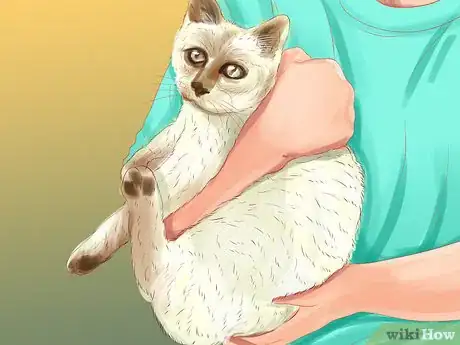 Image titled Transport a Cat in a Carrier Step 8