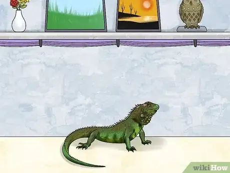 Image titled Let Your Green Iguana Free Roam Step 3