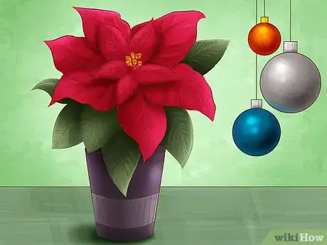 Image titled Select Blooming Houseplants Step 6