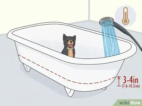 Image titled Wash a Dog's Paws Step 4