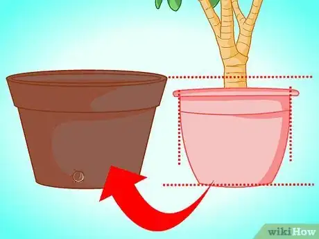Image titled Transplant a Jade Plant Step 4