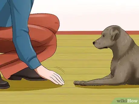 Image titled Make a Plastic Bag Poncho for Your Dog Step 5