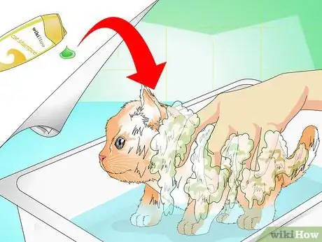 Image titled Give a Kitten a Bath Step 11