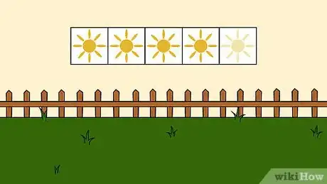Image titled Grow Chamomile Step 10