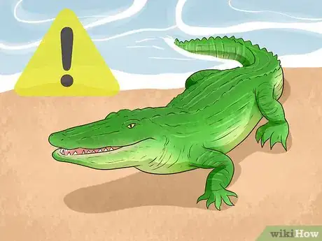 Image titled Identify Dangerous Marine Animals in Australian Waters Step 9