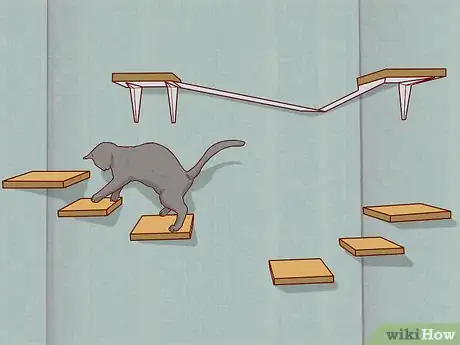 Image titled Take Care of a Chartreux Cat Step 11